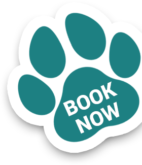 Book Now Capricorn Cost Kennels Yeppoon